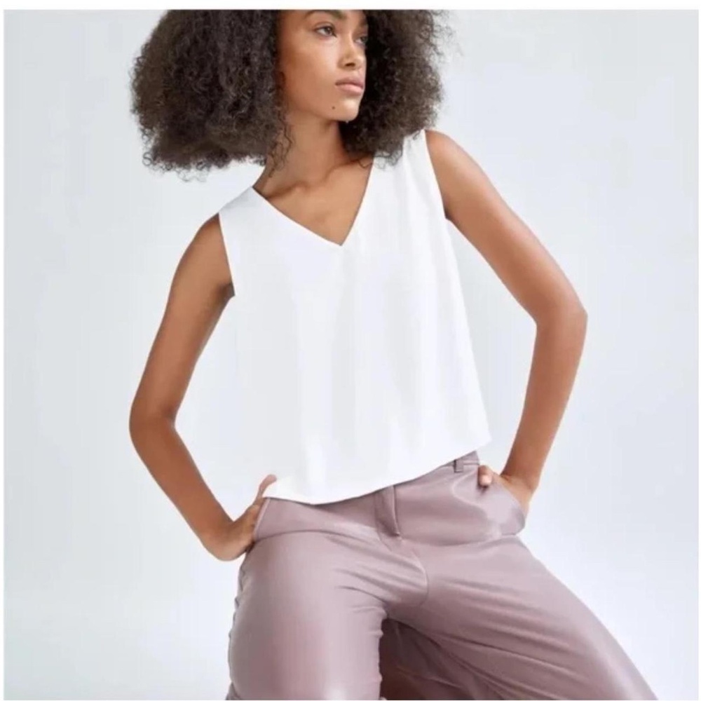 Aritzia Babaton Blouse